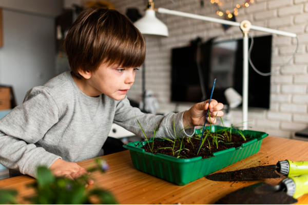 The Power of Science Activities for Preschoolers