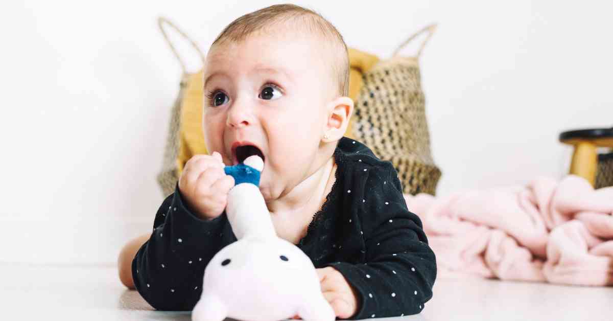 Teething Toys for Every Stage: A Roadmap for Comfort and Development